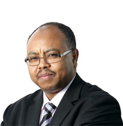 Prof. Allam Ahmed
